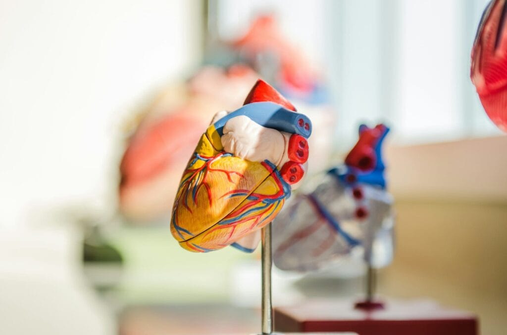 7 Habits for Your Heart-Healthy Living