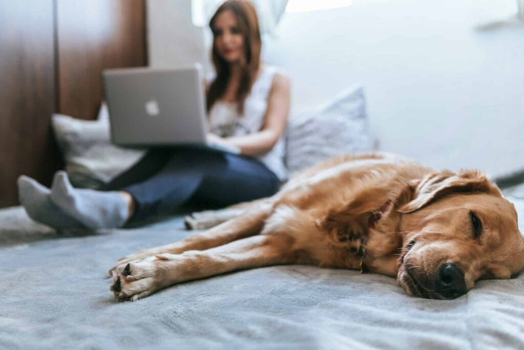 Allergy-Friendly Pets