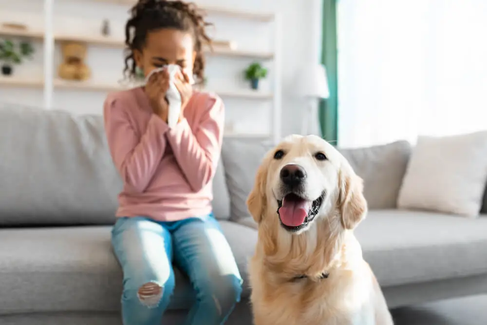 Common Allergens
